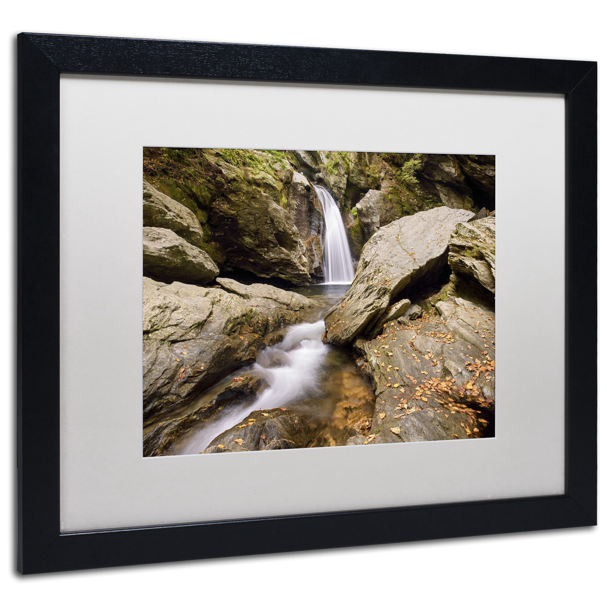 Trademark Fine Art 'Over and Under' Canvas Art by Michael Blanchette Photography, White Matte, Black Frame