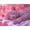 Pink, variant on Mudket Sleeping White Leopard Cub with Pink Glow Canvas Wall Art, Cute Nursery Animal Paintings for Bedroom Print for Girls Baby Room Home Decor , Framed Ready to Hang - 12"L x 8"W