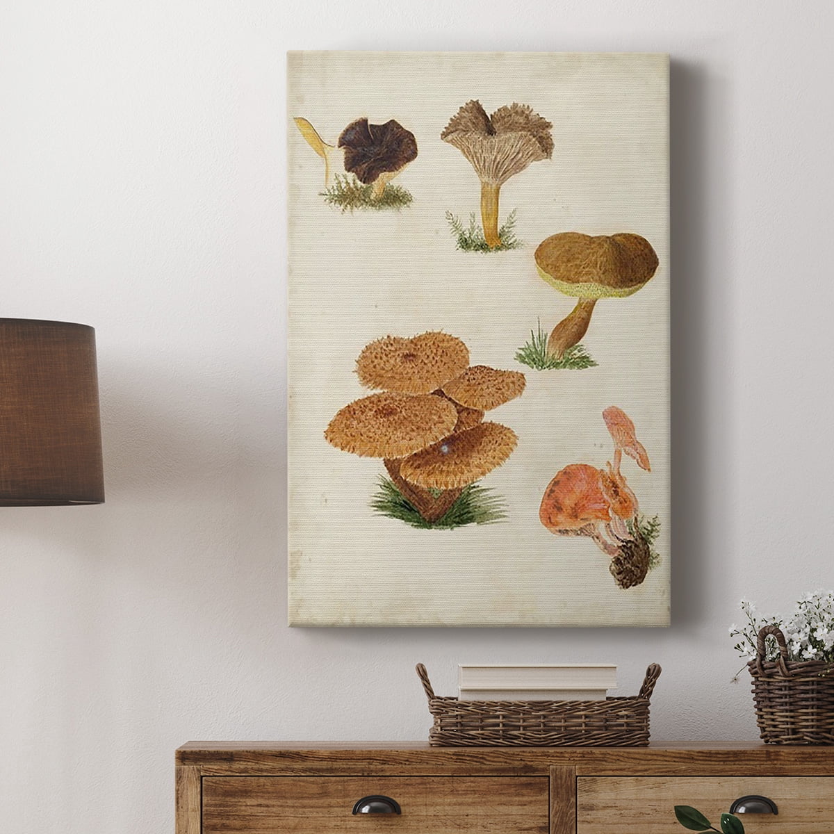 Mushroom Species V Premium Gallery Wrapped Canvas - Ready to Hang