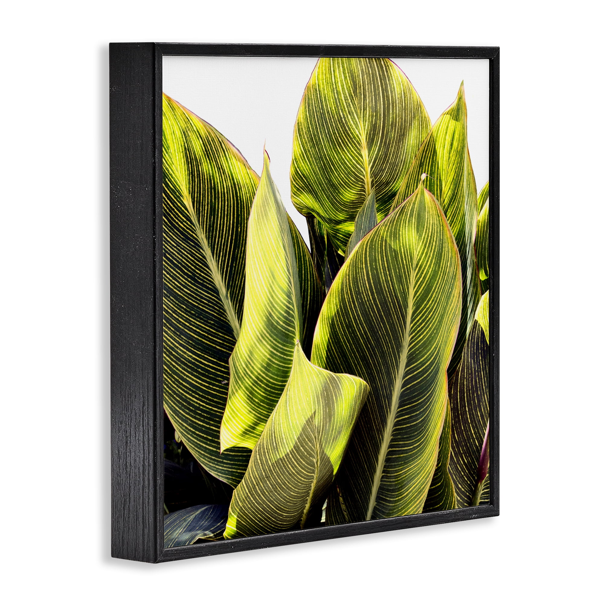 Stupell Industries Bright Tropical Leaves Botanical & Floral Painting Black Framed Art Print Wall Art, 17 x 17