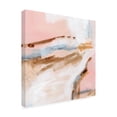 thumbnail image 2 of Jennifer Paxton Parker 'Salt Flat Tracks III' Canvas Art, 2 of 3