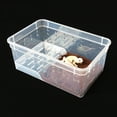 thumbnail image 4 of Denest Acrylic Pet Feeding Box Reptile Breeding Tank For Insect Spider Turtle Cage hot, 4 of 9