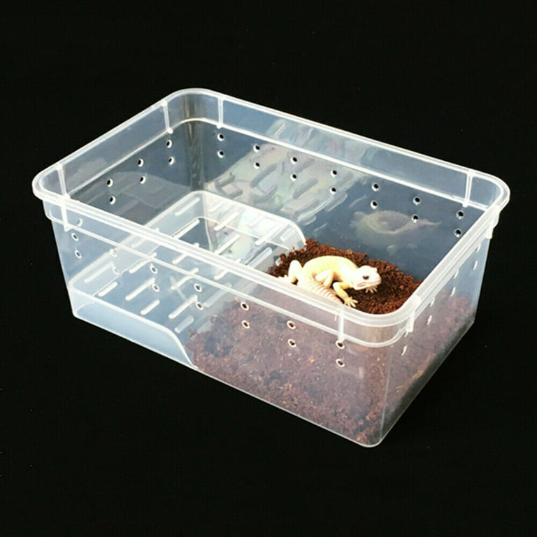 8x8x7 Wildlife Shipping Box- 10 Pack: Reptile Basics