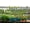 Green, variant on WonderBasket - Herb Garden | The Best Way to Hang Potted Plants