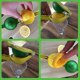 thumbnail image 5 of Citrus Juicer Lemon Juicer, 5 of 5