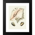thumbnail image 2 of Heinrich Carl Küster 15x18 Black Modern Framed Museum Art Print Titled - The Wing Snails (Strombea) Pl.09 (1845), 2 of 5