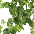 thumbnail image 2 of Nearly Natural 6059-S3 Arbuste Suspendu Pothos de 30 Po, Ensemble de 3, 2 of 3