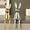 Set-c, variant on Brass Sitting Bunny, Ceramic Electroplate Rabbit Figurine, Sitting Gold Bunnies for Shelf, Easter Bunny Decorations, for Desk Cabinet Bookshelf Counter Home Hotel Bar Office Decor(Set-c)
