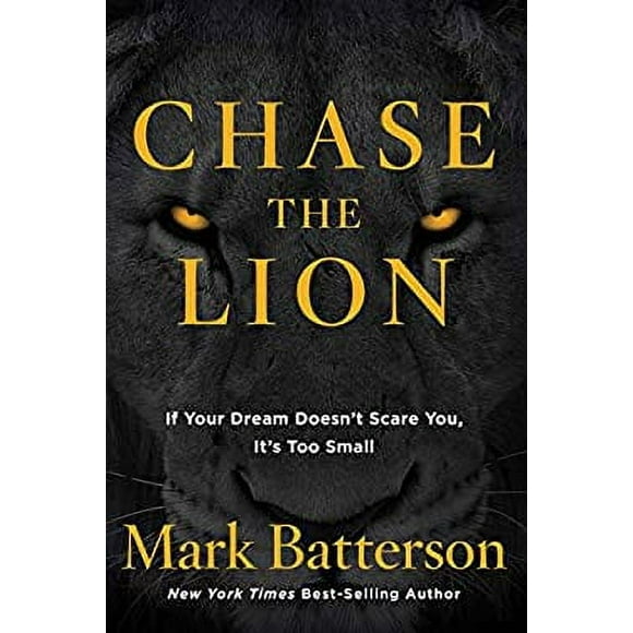 Chase the Lion : If Your Dream Doesn't Scare You, It's Too Small 9781601428875 Used / Pre-owned