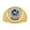 Alexandrite, variant on Men's Rings Yellow Gold Plated Silver Designer Gypsy 7MM Round Gemstone & Diamond Ring Amethyst February Size 9