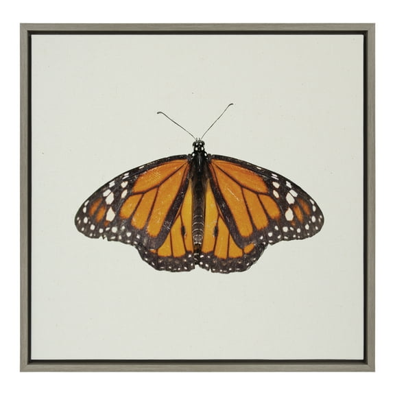 Kate and Laurel Sylvie Monarch Butterfly Framed Linen Textured Canvas Wall Art by Robert Cadloff of Bomobob, 22x22 Gray, Decorative Nature Art for Wall