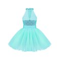 thumbnail image 2 of iEFiEL Girls Sleeveless Mesh Leotard Splice Sequins Ballet Dance Gymnastics Leotard Dress, 2 of 7