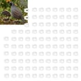 thumbnail image 4 of Pigeons Identification Ring, Lightweight Pigeons Leg Rings Easy Durable  For Pigeons Identification And Marking For Most People White, 4 of 8