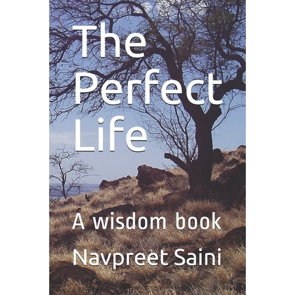 The Perfect Life (Paperback)