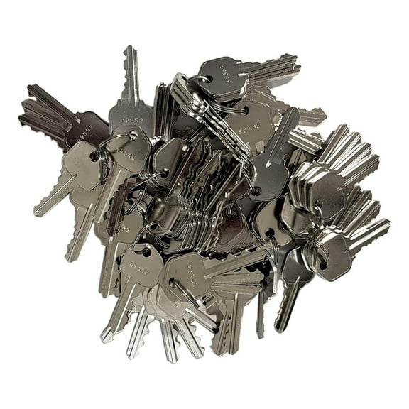 60 Pieces Precut Compatible Keyway 5 Pins Keys 10 Sets of 6 Keys