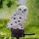 thumbnail image 5 of 2Pcs Stakes Light Owl Night Night Ornament Waterproof for Outdoor Lawn Home Baoblaze none, 5 of 8