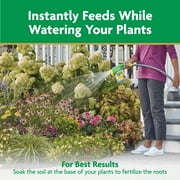 Miracle-Gro Water Soluble All Purpose Plant Food, For All Plant Types, 5 lbs.