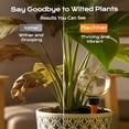 thumbnail image 4 of 500ML Self Watering Globes - Large Watering Balls Water Dispenser Plants Watering Houseplants Clear Plant Watering Globes Automatic Plant Waterer for Plant Indoor Outdoor(2 PCS), 4 of 9
