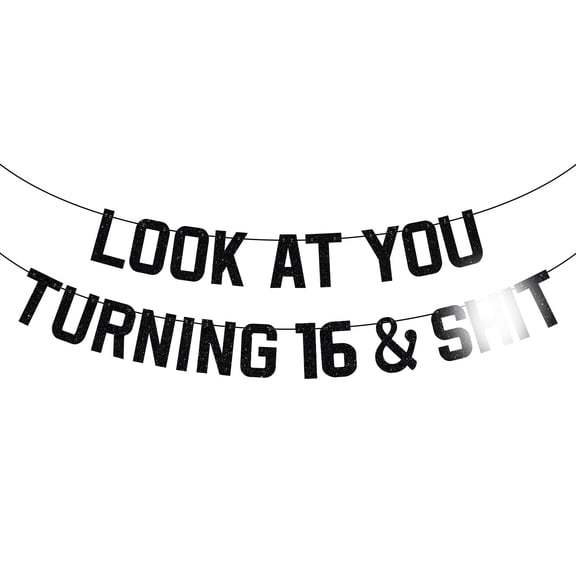 Look at You Turning 16 & Banner, Sweet 16, In My 16th Era, Happy 16th Birthday Party Decorations