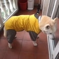 thumbnail image 2 of Xiao Hua Chubasquero impermeable para perros, ropa ligera para la lluvia con capucha tipo poncho (S, A07), 2 of 2