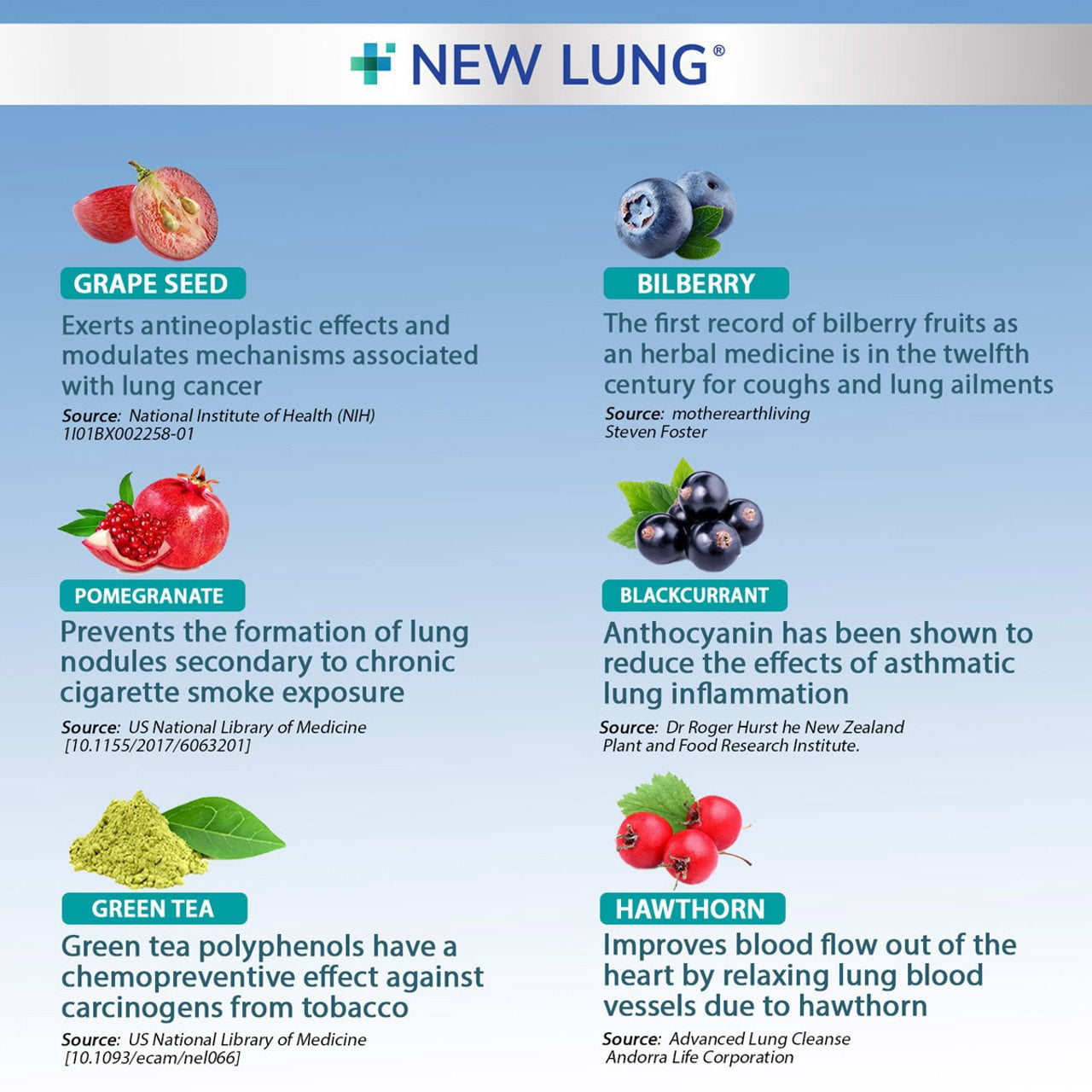 Success Chemistry New Lung Premium Lung Cleanse with Mullein & Marshmallow Root for Adults - 60 Capsules