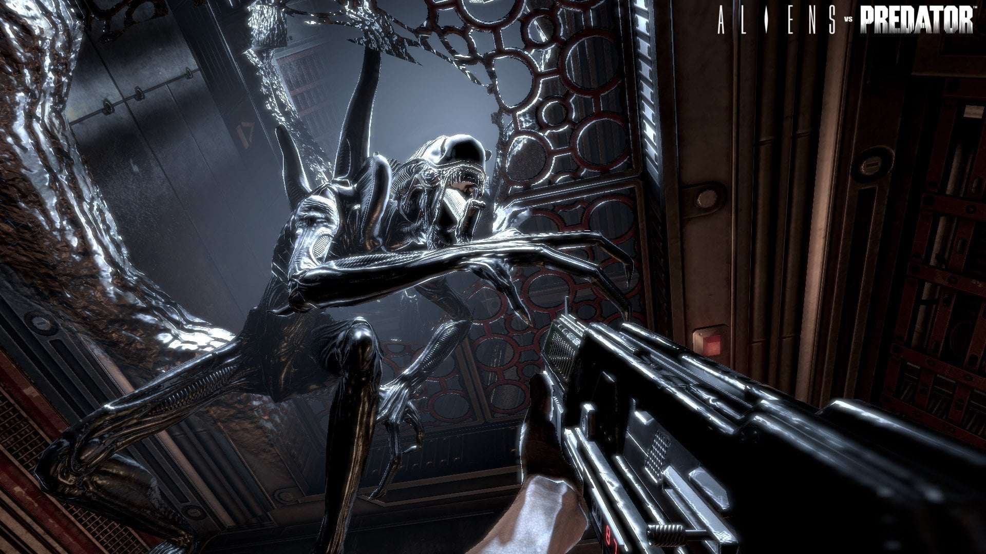 Alien Vs Predator (PC)