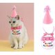 thumbnail image 1 of Bandana para mascotas CHAO Happy Birthday para perros y gatos Rosa, 1 of 5