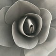 thumbnail image 1 of Flor de espuma de fondo plano, flor de simulación, pared adhesiva, flor falsa, diseño del sitio para eventos de bodas, planta decorativa para pared, 1 of 6
