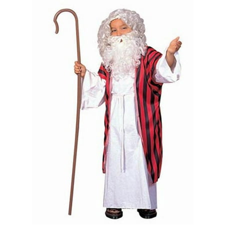 RG Costumes 90184-M Moses Costume - Size Child Medium 8-10