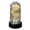 🍒 Gold_New#3801, variant on LED Rose in Glass Dome Valentine Gift for Her Birthday and Mother's Day