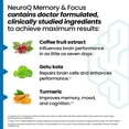thumbnail image 3 of Suplemento LifeSeasons NeuroQ Memory & Focus 60 cápsulas, 3 of 6