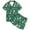 Green, variant on Kids Pajamas Toddler Girls Animal Chicken Pattern Kids Boys Pattern Printed Short Sleeve Button Down Pajamas Shorts Set Outfits Sleepwear Nightwear Pjs Loungewear Green 2-3 Years