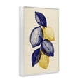 thumbnail image 2 of Stupell Industries Shabby Chic Navy Lemons Botanical Sketch White Framed Giclee Art, 20 x 30, by Petals Prints Design, 2 of 8