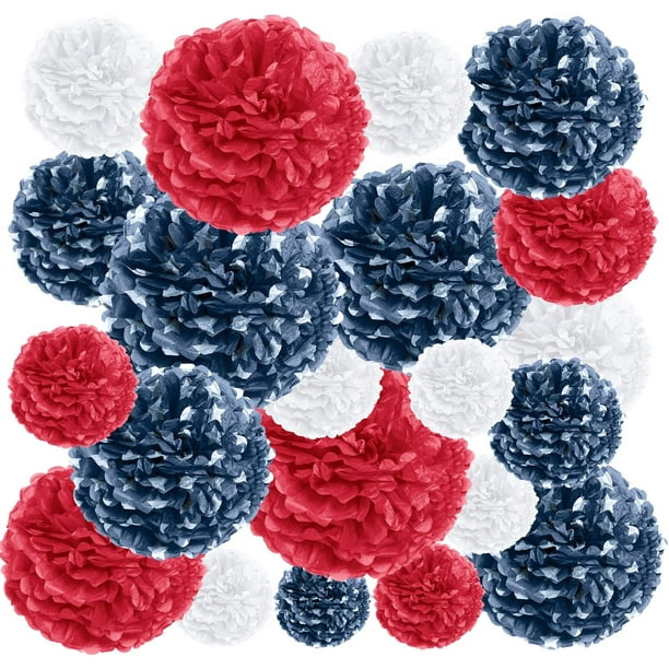 20Piece Paper Pom Poms Party Kit Tissue Pom Pom Decorations