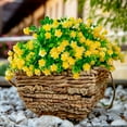 thumbnail image 2 of Viworld Artificial Flowers for Outdoors UV Resistant-12 PCS Bundles Faux Fake Outdoor Plants Plastic Shrubs No Fade Fall Greenery Bushes Home Porch Boxwood Outside Fake Mums Decoration Garden (Yellow), 2 of 9