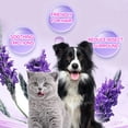 thumbnail image 3 of YINGQING Pet Cat Spray Cat Spray Pet Stress Spray 30ML, 3 of 5