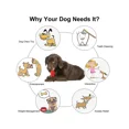thumbnail image 4 of Jouets à Mâcher pour Chiens, Outil de Nettoyage des Dents de Chiot, Os à Mâcher Résistant, 4 of 5