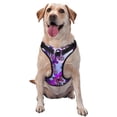 thumbnail image 1 of Fotbe Flying Butterflies Arnés para Perro con Estampado –Chaleco Ajustable Acolchado con Asa de Control para Perros Grandes-Medium, 1 of 6
