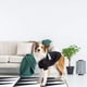 thumbnail image 5 of Sudaderas para perros con capucha, suéteres estampados de Seguridad con sombrero, chaquetas de algodón suave de invierno negras - l para perros pequeños, medianos y grandes, 5 of 5