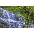 thumbnail image 2 of OBrien, Jay 32x23 White Modern Wood Framed Museum Art Print Titled - PA, Benton, Ricketts Glen SP Mohawk Falls, 2 of 4