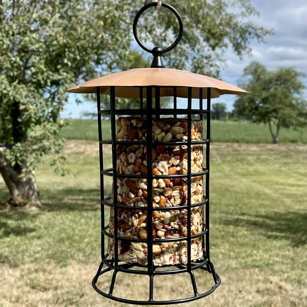 Songbird Essentials Suet Feeder Hanging Metal Bird Feeder for Suet Logs