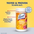 thumbnail image 4 of Lysol® Disinfecting Wipes - (1 Brand New Day™ Lavender & Cotton Blossom + 1 Brand New Day™ Mango & Hibiscus) 3/(2x80) Ct., 4 of 15