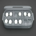 thumbnail image 4 of Caja de plástico para es para bandeja de incubación de huevos con termómetro incubando Gecko Zulema  Caja de incubación de huevos de reptiles, 4 of 6