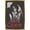 Gold Framed Version, variant on Alice Cooper - Portrait Wall Poster, 22.375" x 34"