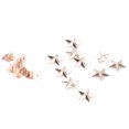 thumbnail image 3 of Metal Star Rivet,10pcs Metal Star Stud Rivet Decoration Garment Rivet Professional Grade, 3 of 9
