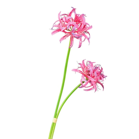 Grandest Birch 6Pcs Artificial Red Spider Lily Realistic Fake Silk Flower Wedding Home Office Table Centerpiece Faux Floral Branch Flower Arrangement Decoration,Pink Purple