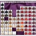 Developlus Satin Color #8A Light Ash Blonde 3 oz (88ml) - Walmart.com