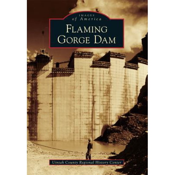 Pre-Owned Flaming Gorge Dam (Paperback) 1467130168 9781467130165