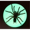 Ed Speldy East SS106 Large Dome Paper Weight with Real Tarantula in Acrylic Glow in the Dark in Acrylic