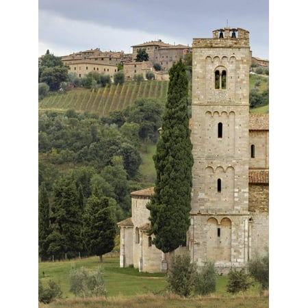Vineyards, St. Antimo Abbey, Montalcino, Tuscany, Italy Print Wall Art By Adam